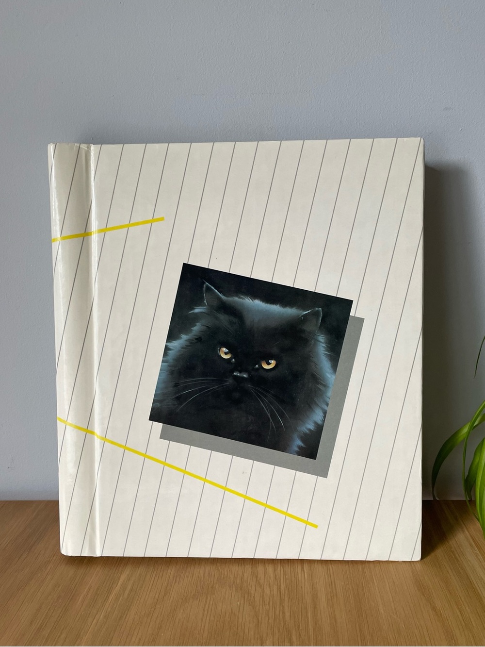 Rare Vintage 80s Pierre Furrer Black Cat Photo Album Post-modern 🐈‍⬛